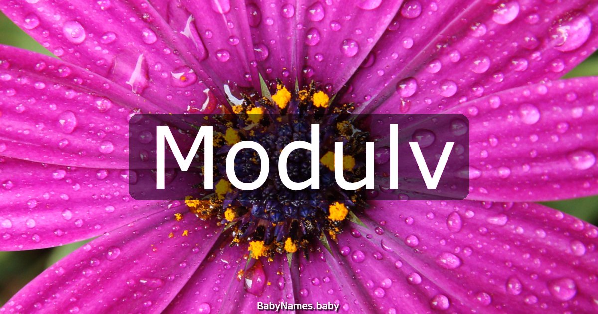 Modulv