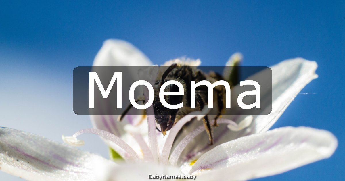 Moema