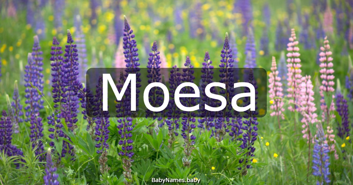 Moesa