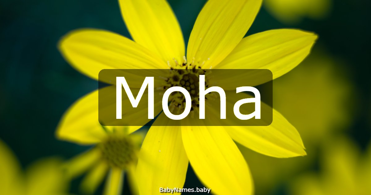 Moha