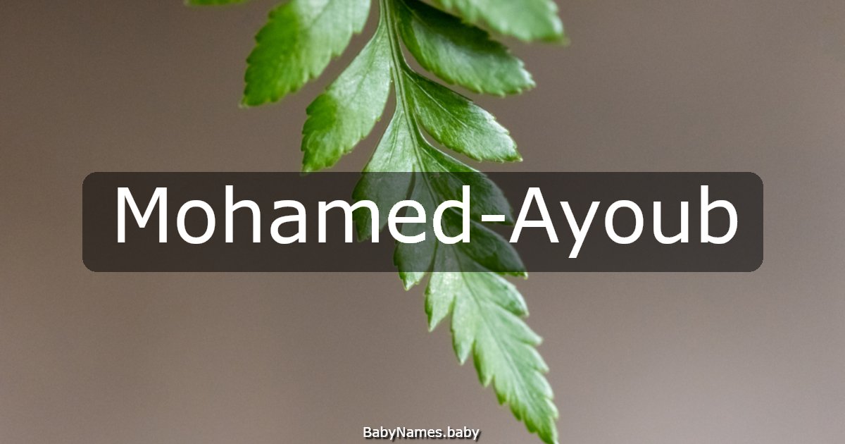 Mohamed-Ayoub