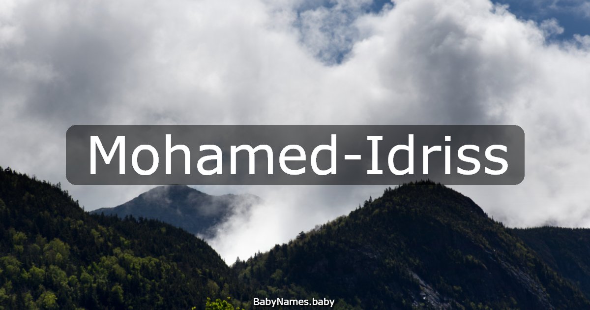 Mohamed-Idriss