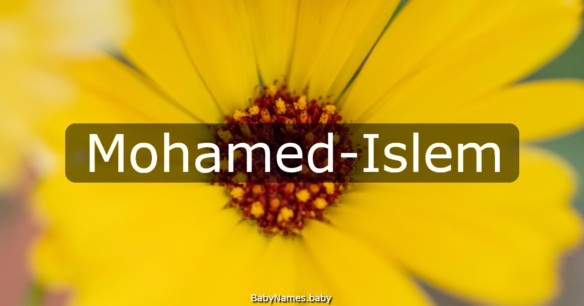 Mohamed-Islem