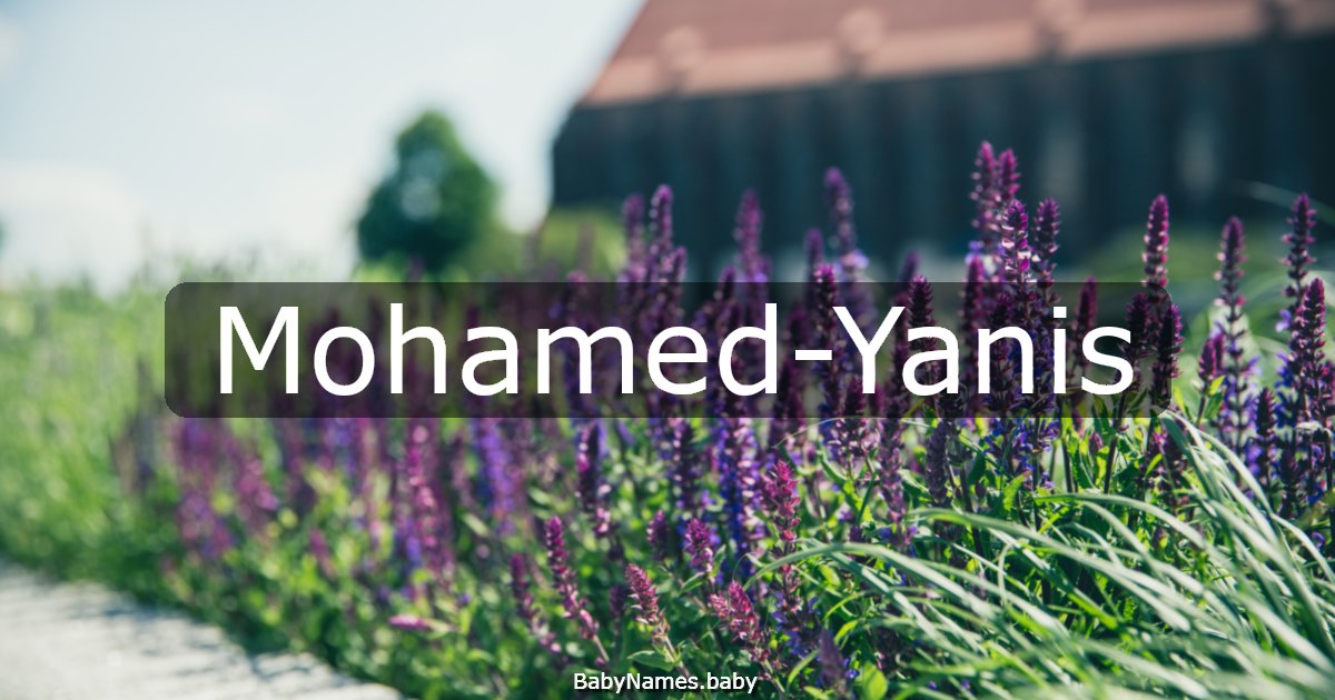Mohamed-Yanis