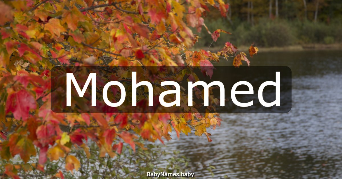 Mohamed