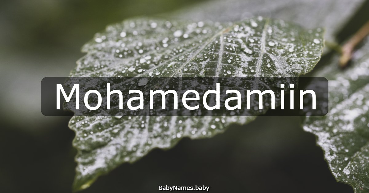 Mohamedamiin
