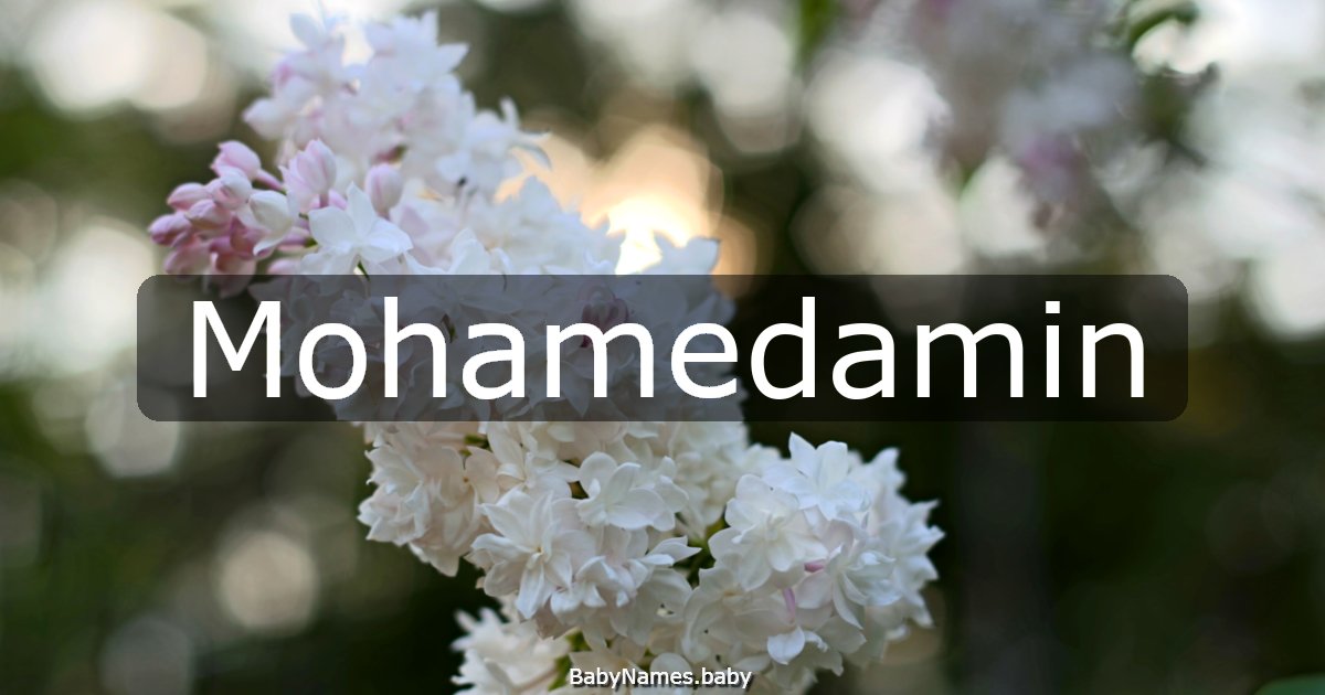 Mohamedamin