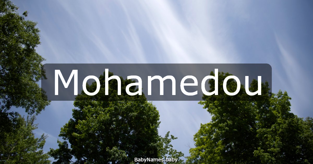 Mohamedou