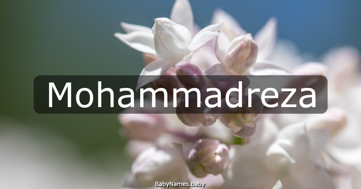 Mohammadreza