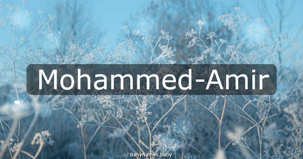 Mohammed-Amir