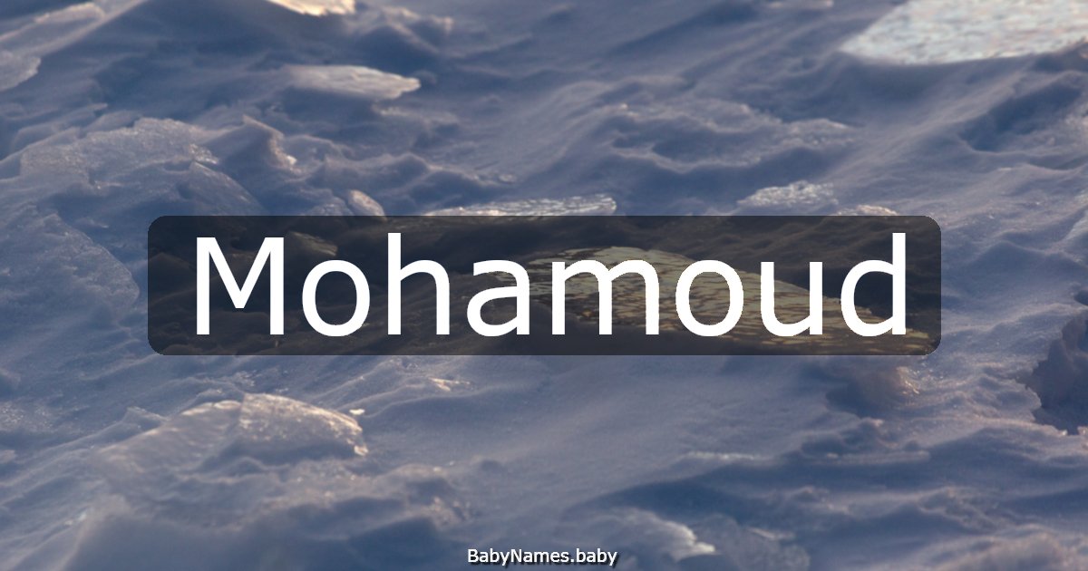 Mohamoud
