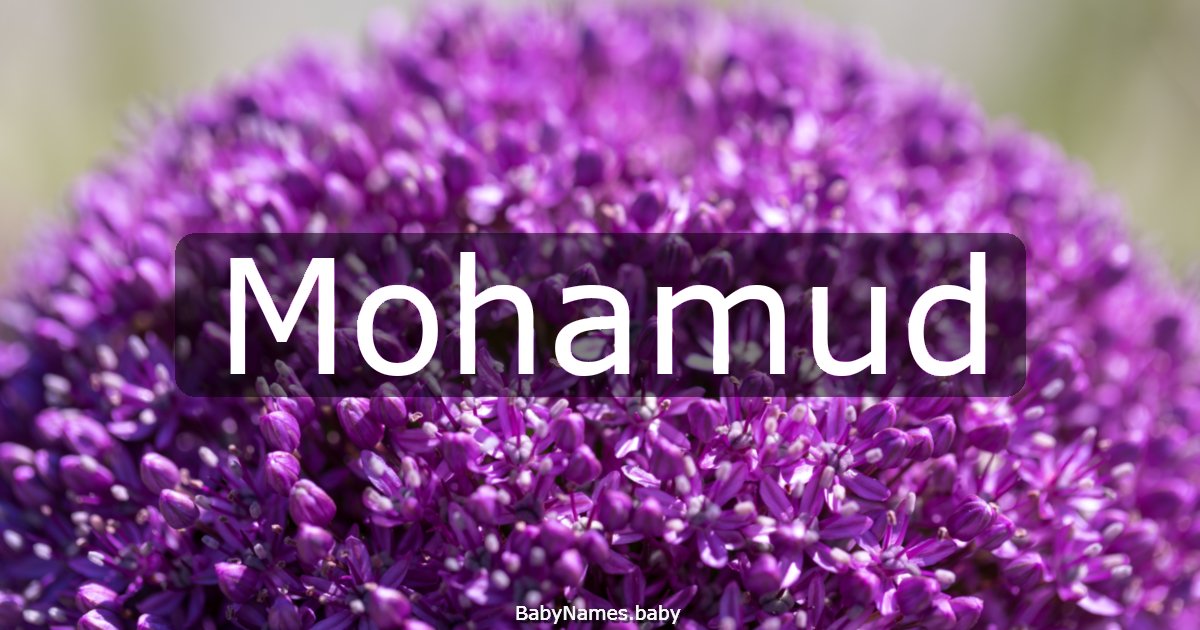 Mohamud