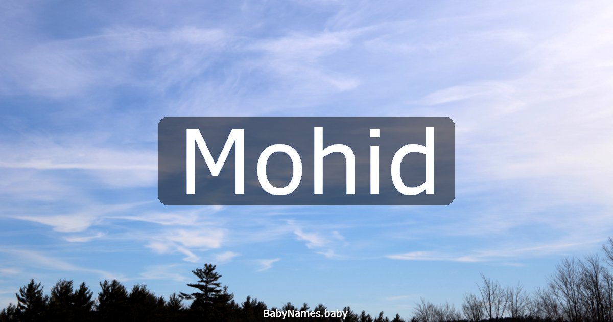 Mohid