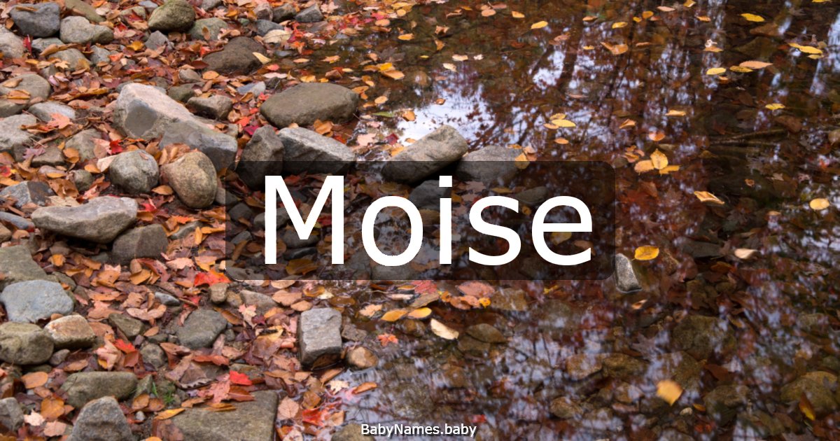 Moise