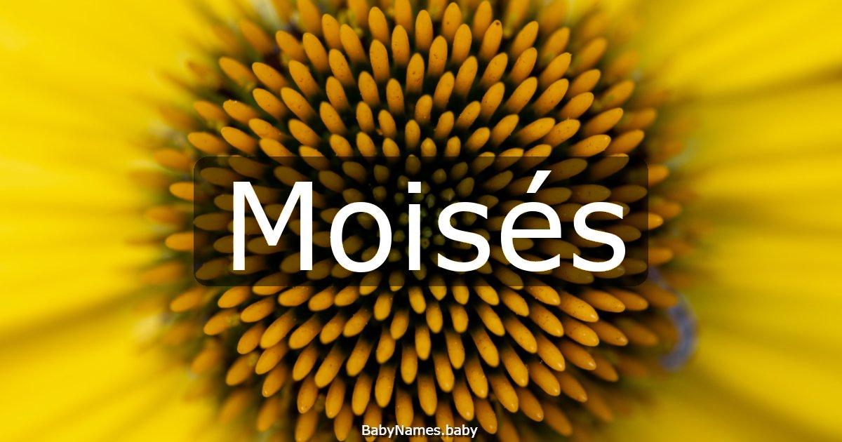 Moisés