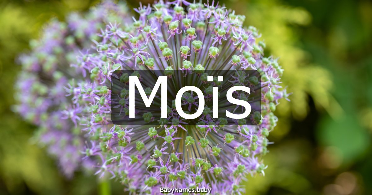 Moïs