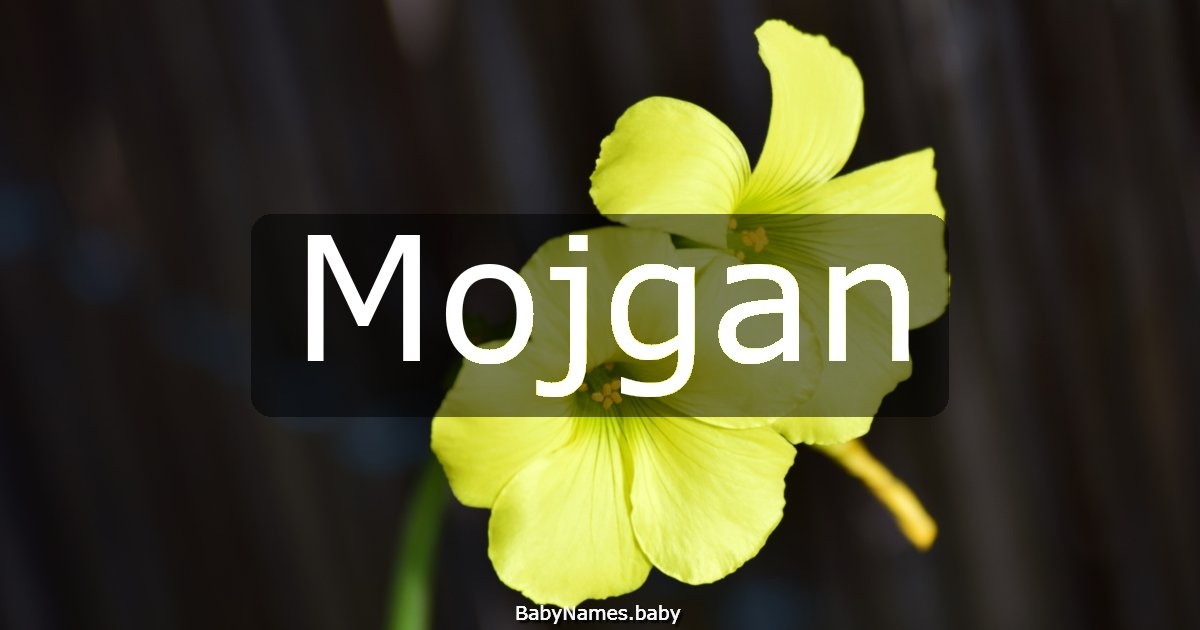 Mojgan