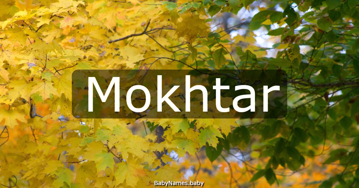 Mokhtar
