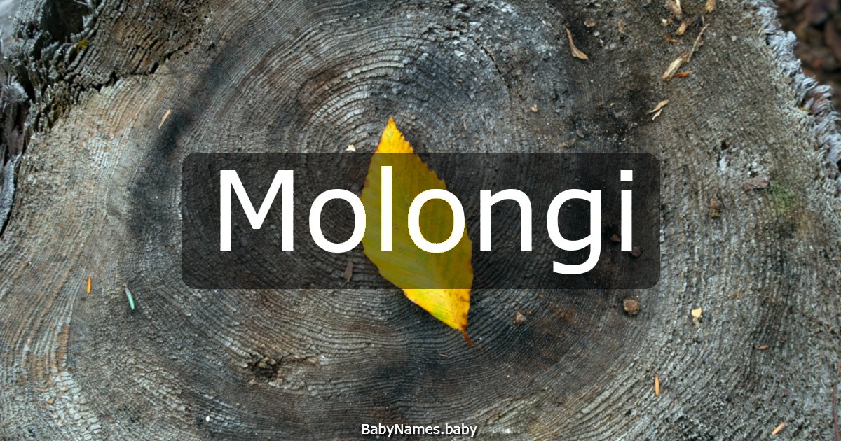 Molongi