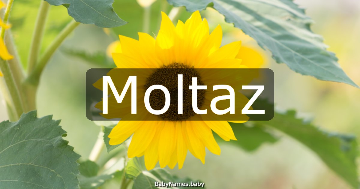 Moltaz