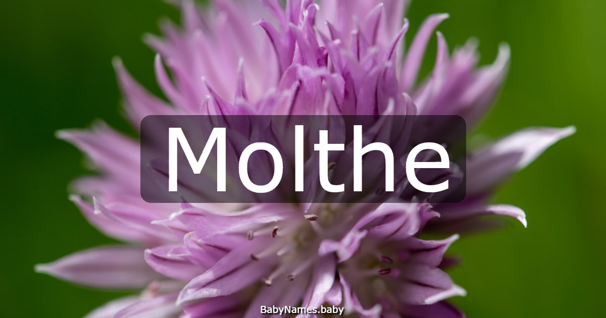 Molthe