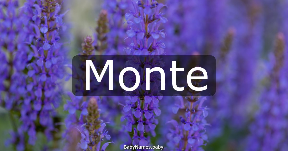Monte
