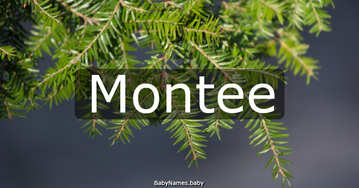 Montee