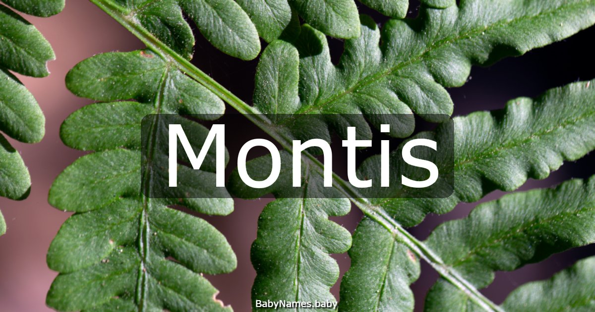Montis