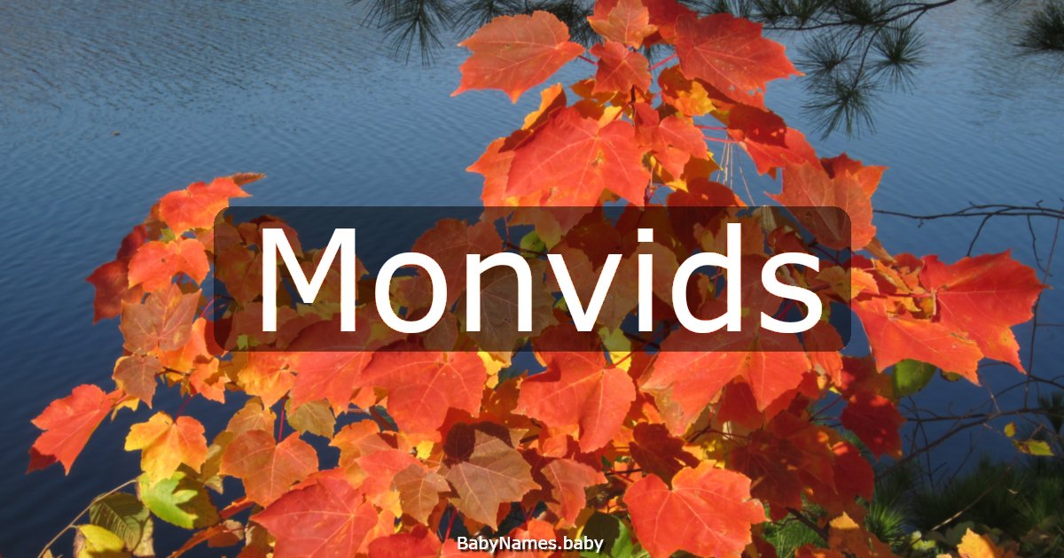 Monvids