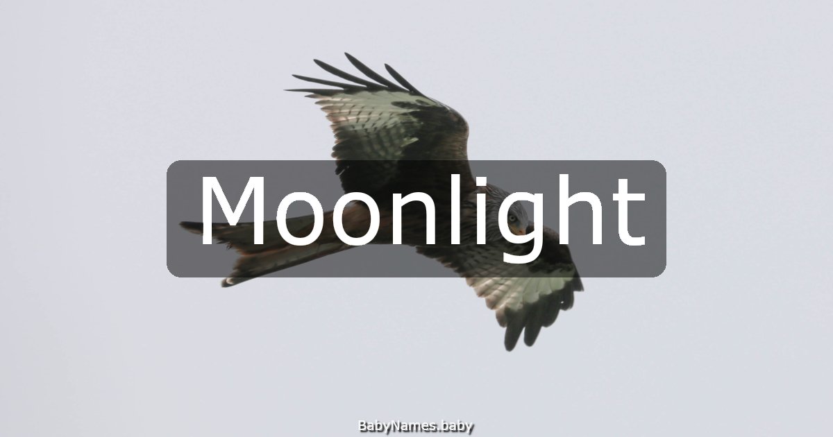 Moonlight