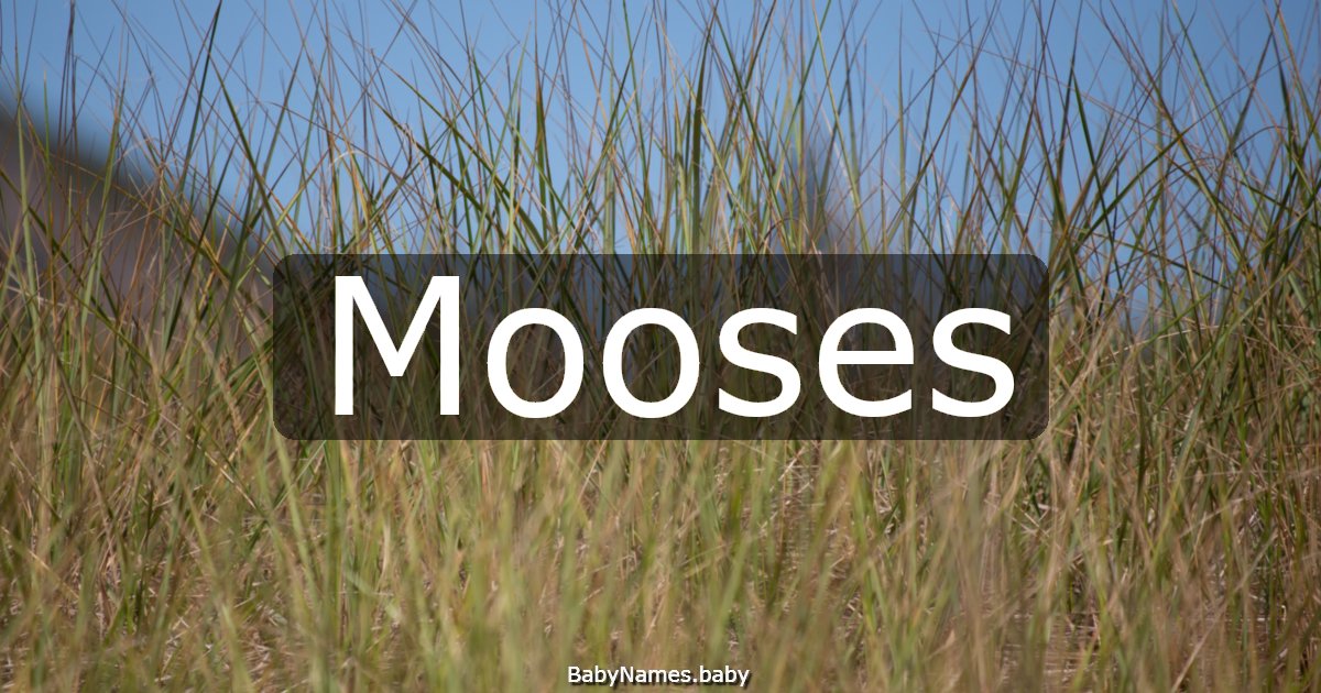 Mooses