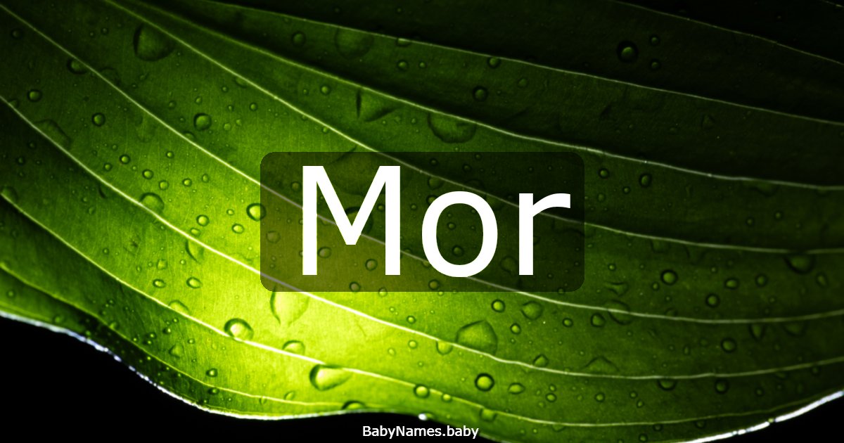 Mor