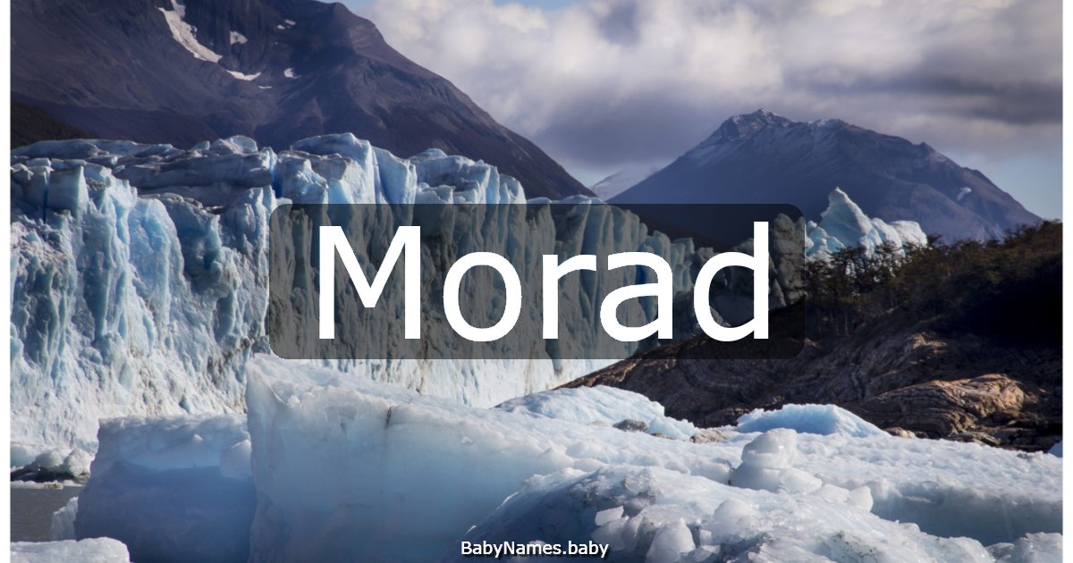 Morad