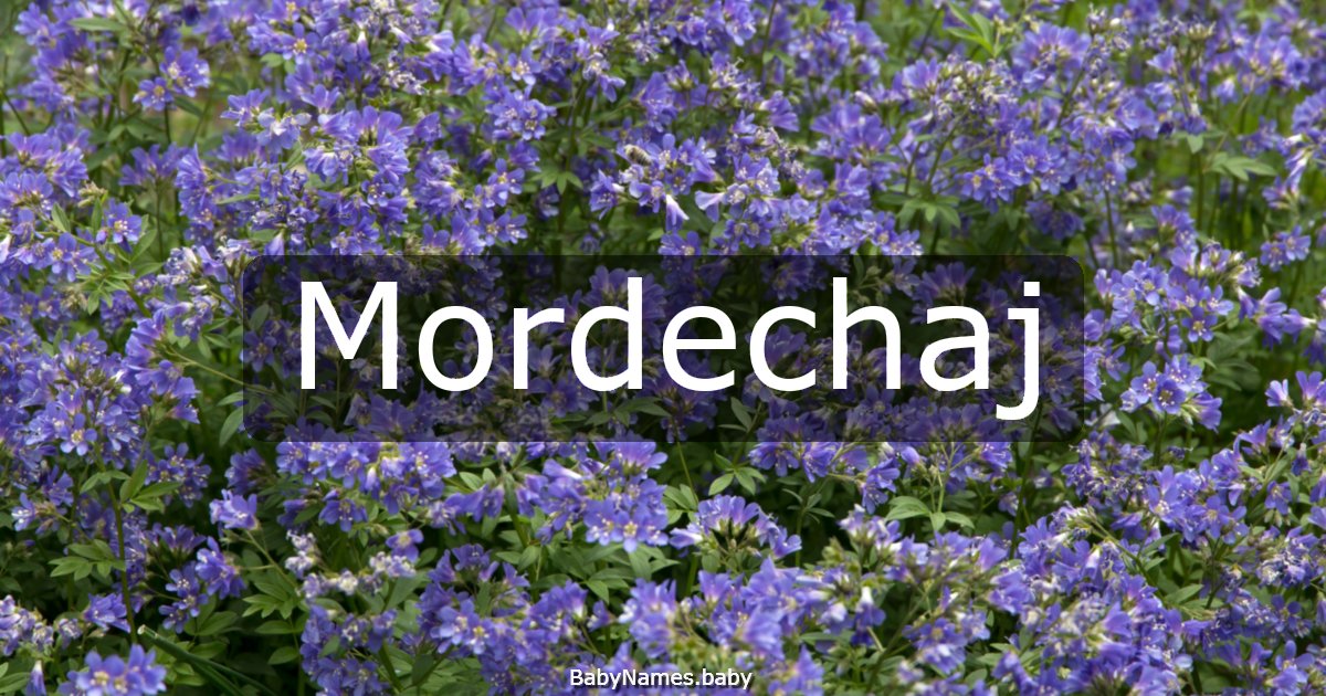Mordechaj
