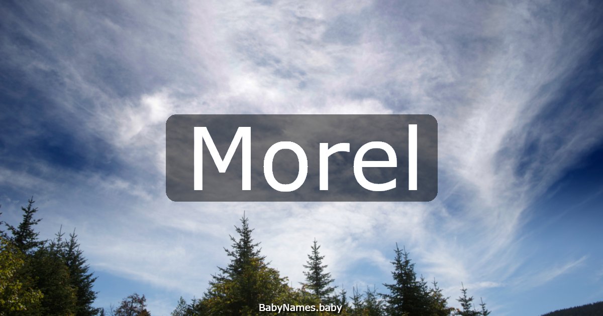 Morel
