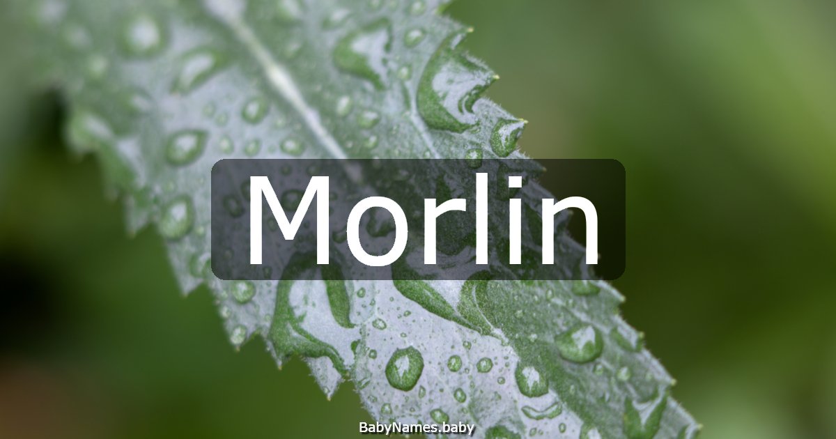 Morlin