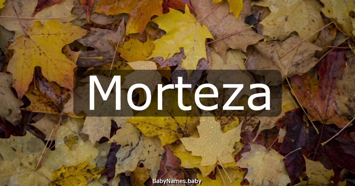 Morteza