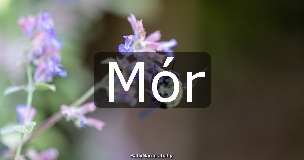 Mór