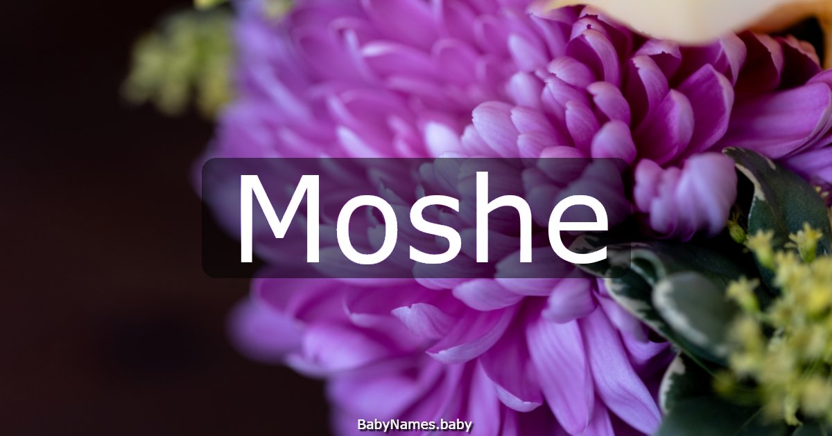 Moshe