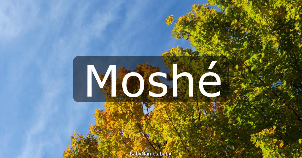 Moshé