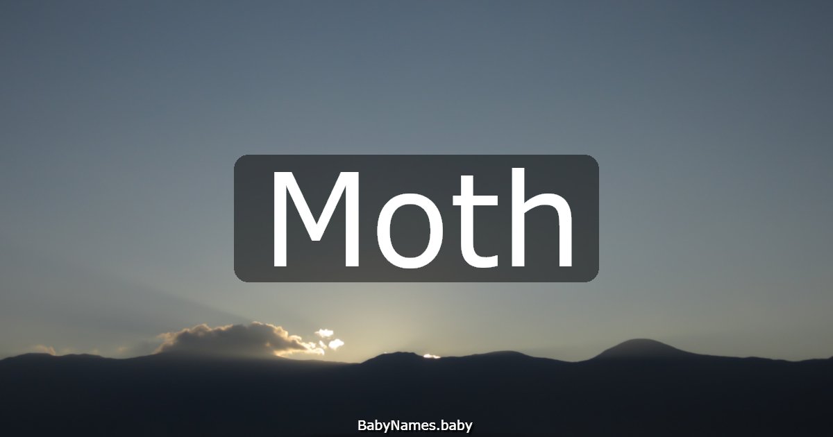 Moth