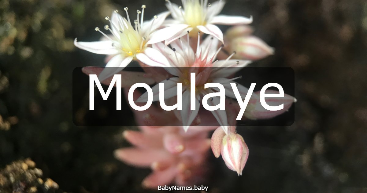 Moulaye