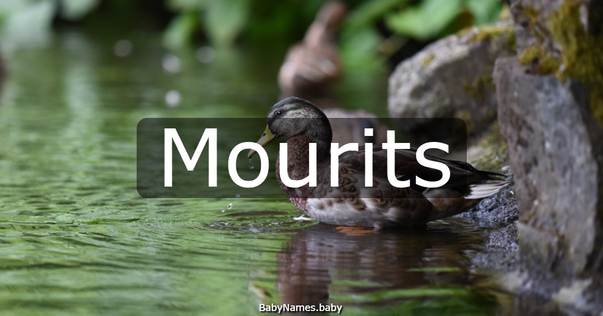 Mourits