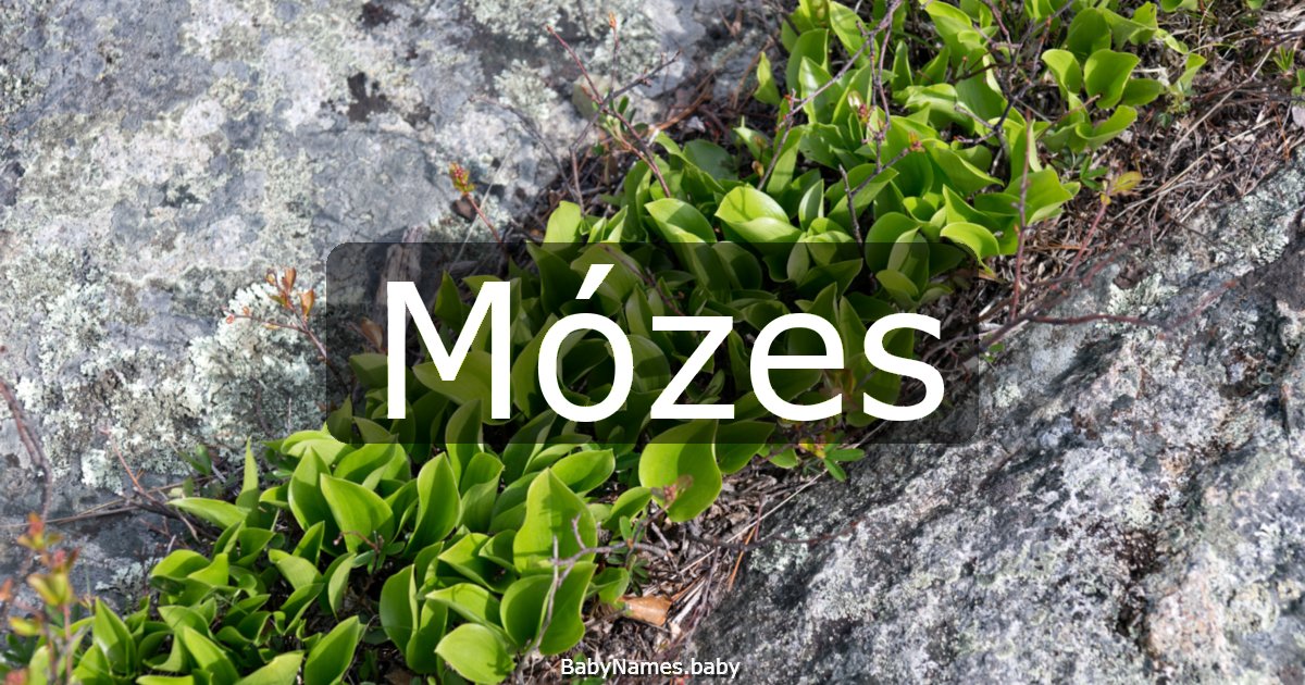 Mózes