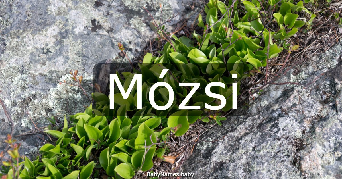 Mózsi