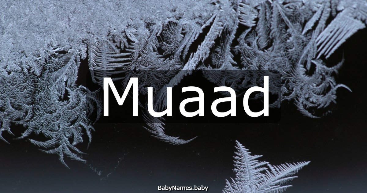 Muaad