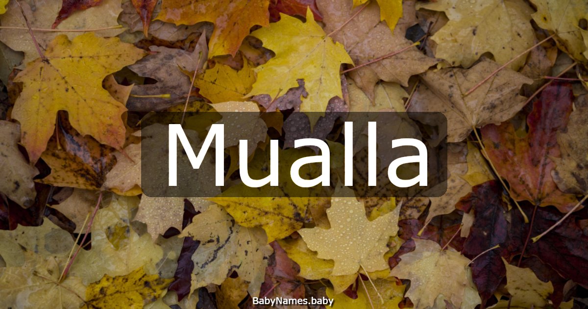 Mualla