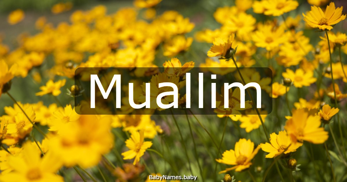 Muallim