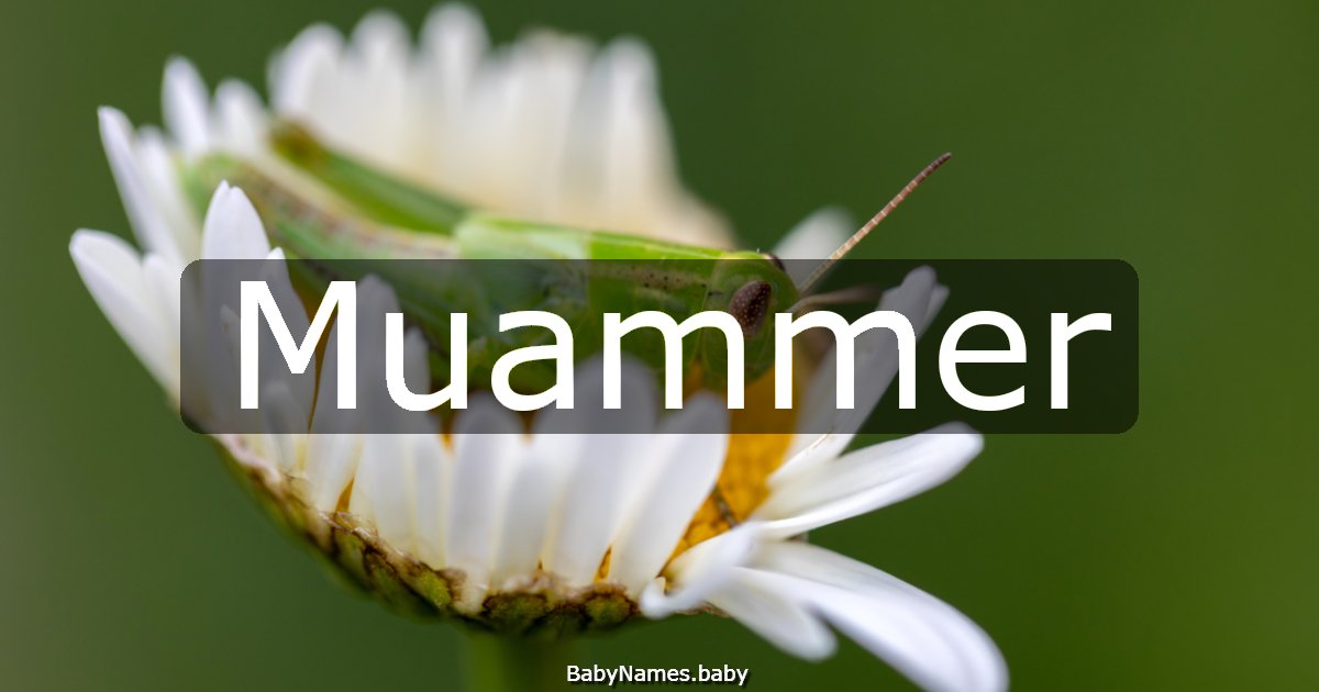 Muammer