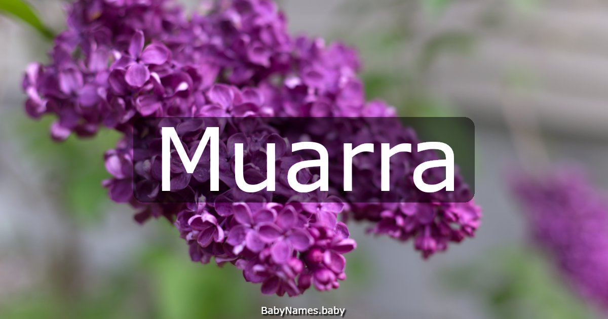 Muarra